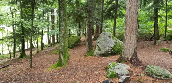 Pierre de passage des gorges de l'Areuse